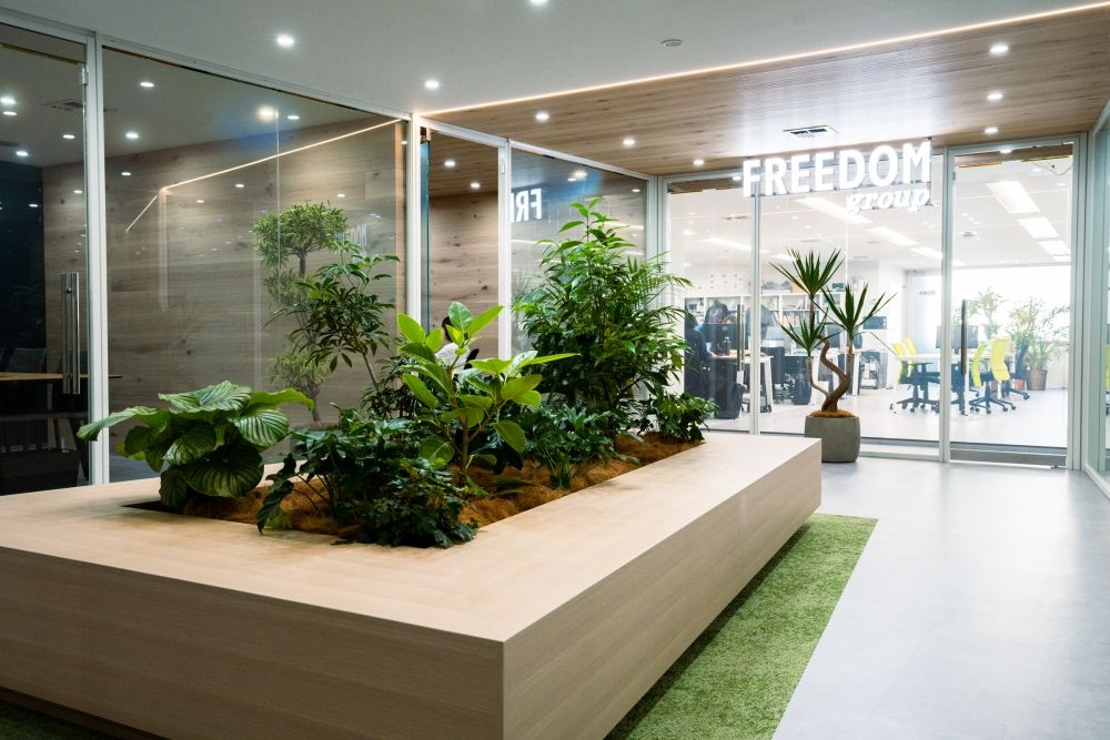 FREEDOM X株式会社