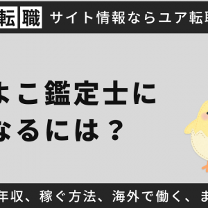 ひよこ鑑定士になるには？平均年収、稼ぐ方法、海外で働く、まとめ