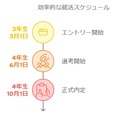 一般的な就活のスケジュール