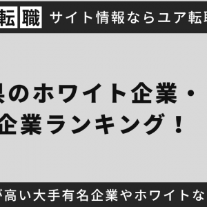 徳島県のホワイト企業・優良企業ランキング！年収・売上が高い大手有名企業やホワイトな中小企業を調査